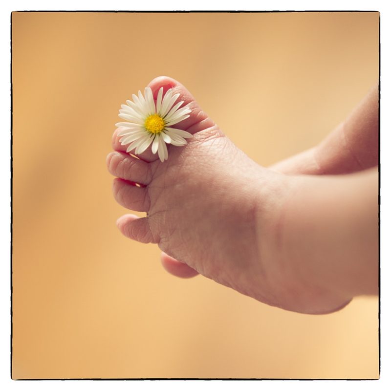 Neugeborenenfotografie, Neugeborenenfotograf, Babyfotograf