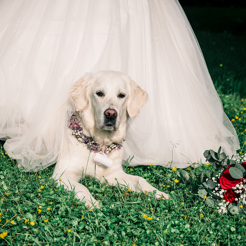 Hochzeitsfotos, Hochzeitsfotograf, Hochzeitsreportage